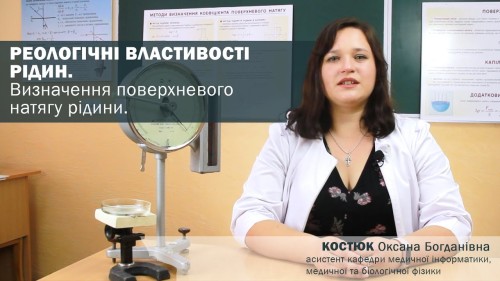 Відеотека