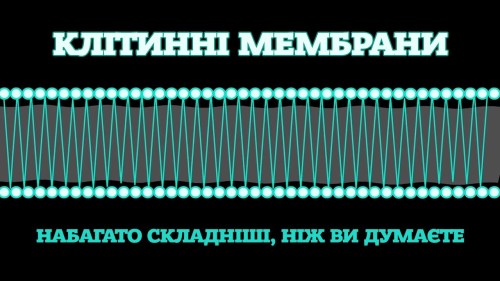 Відеотека