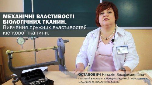 Відеотека